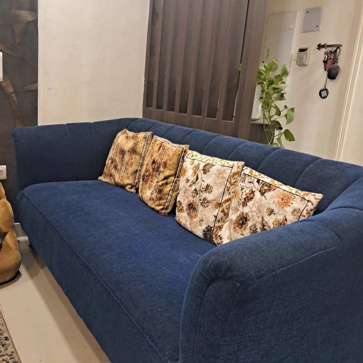 3 seater upholstery velvet sofa photo 1