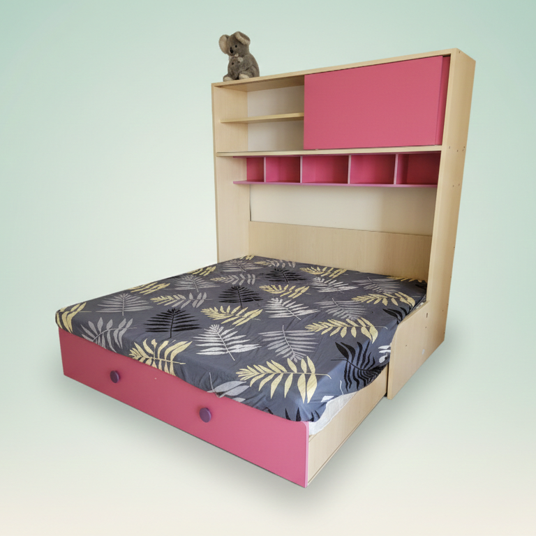 Sofa-cum-Bed with Overhead Storage