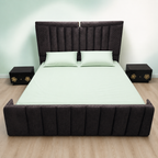 Premium Double Bed with Storage + Peps Mattress