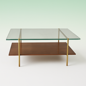 West Elm Mid Century Art Display Coffee Table
