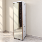 Full-Length Mirror Dressing Unit with Storage - used item in Gurugram