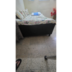 L-Shaped Sofa and Diwan Bundle - used living-room in Gurugram - photo 4