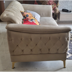 Get My Couch 2-Seater Sofa - used living-room in Gurugram - photo 2