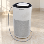 Cuckoo purifier - giveasy hero