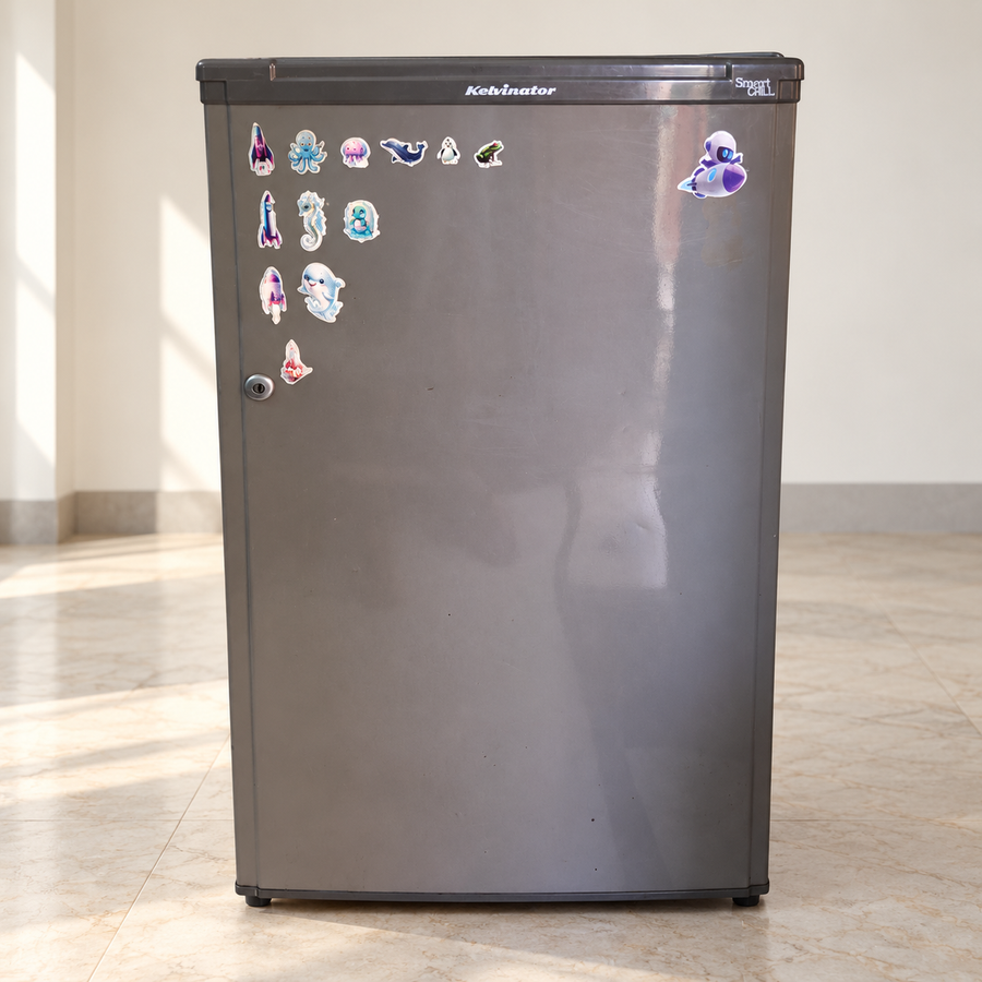 Kelvinator Single-Door Refrigerator - Delhi
