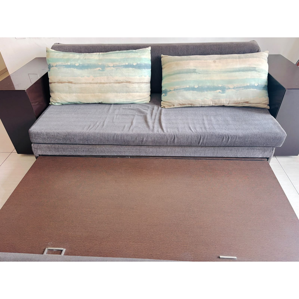 Wooden Pull-Out Sofa Cum Bed with Storage - photo 3