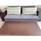 Wooden Pull-Out Sofa Cum Bed with Storage - photo 3