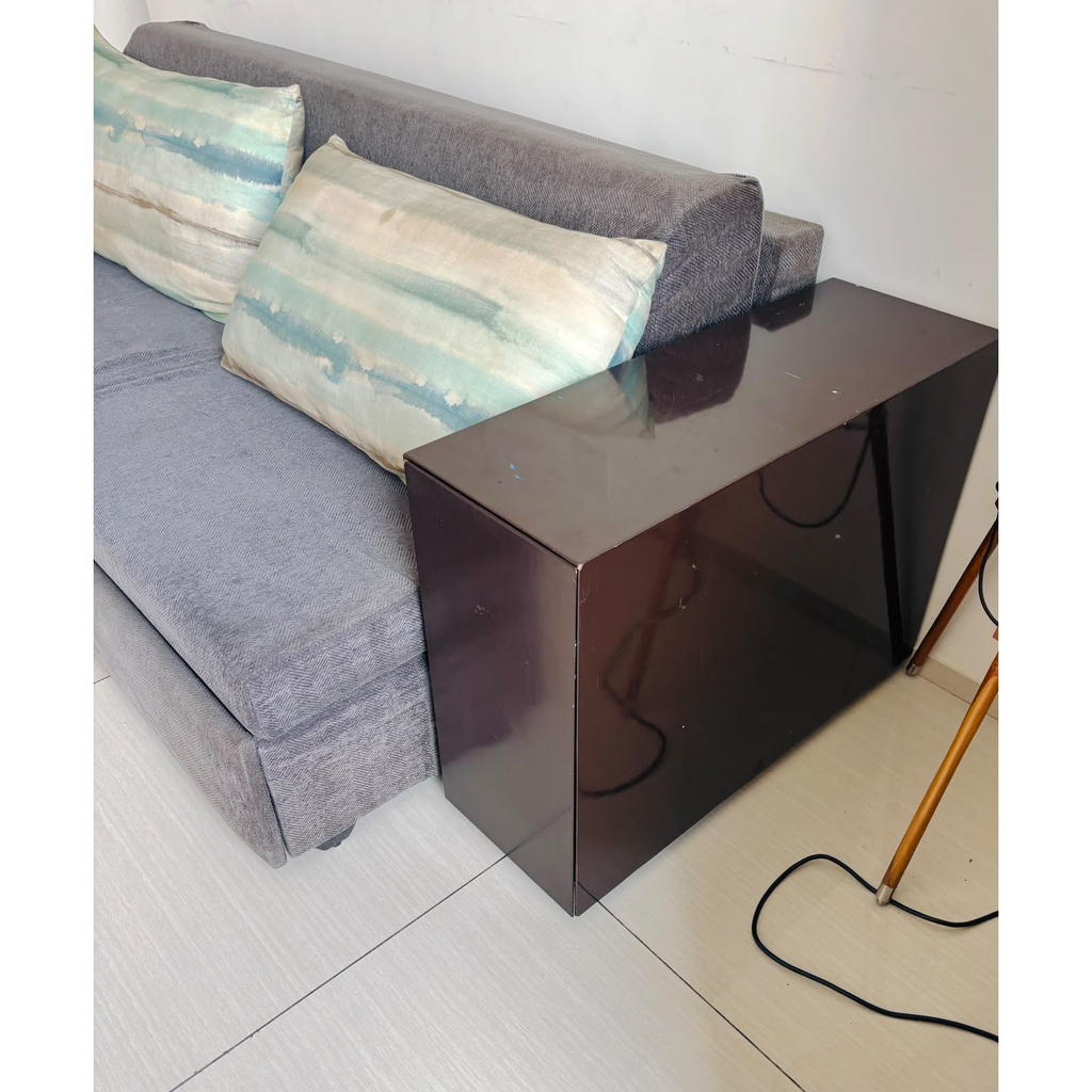 Wooden Pull-Out Sofa Cum Bed with Storage - photo 4