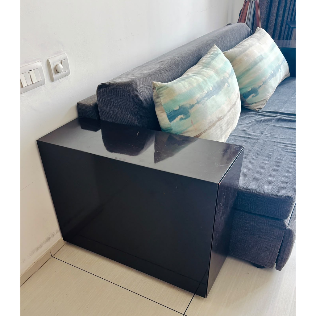 Wooden Pull-Out Sofa Cum Bed with Storage - photo 5
