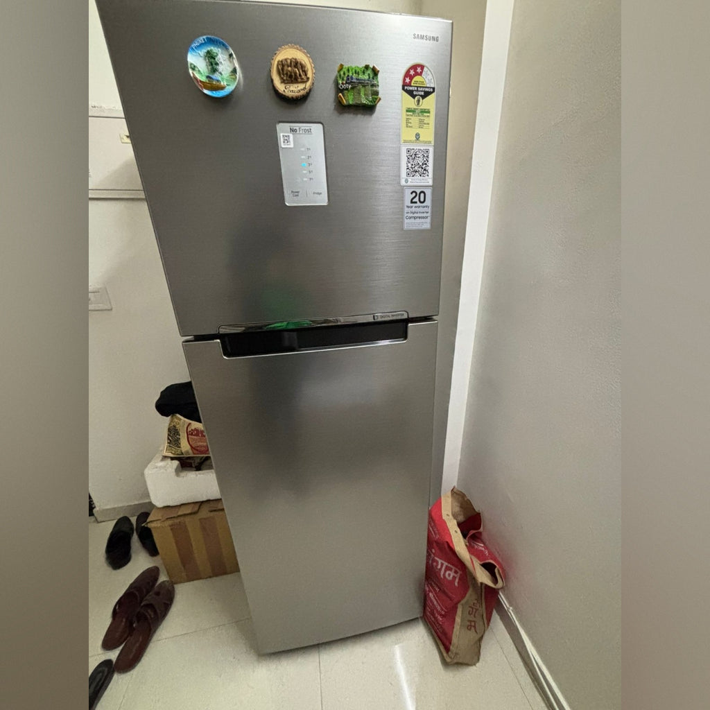 Samsung 256L Frost Free Double Door Refrigerator