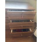 Chest of Drawers with Cabinet - used bedroom in Delhi - photo 3