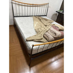 Metal Frame King Bed with Spring Mattress